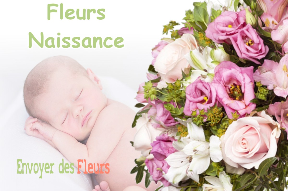 lIVRAISON FLEURS NAISSANCE à SAINT-LAURENT-EN-GRANDVAUX